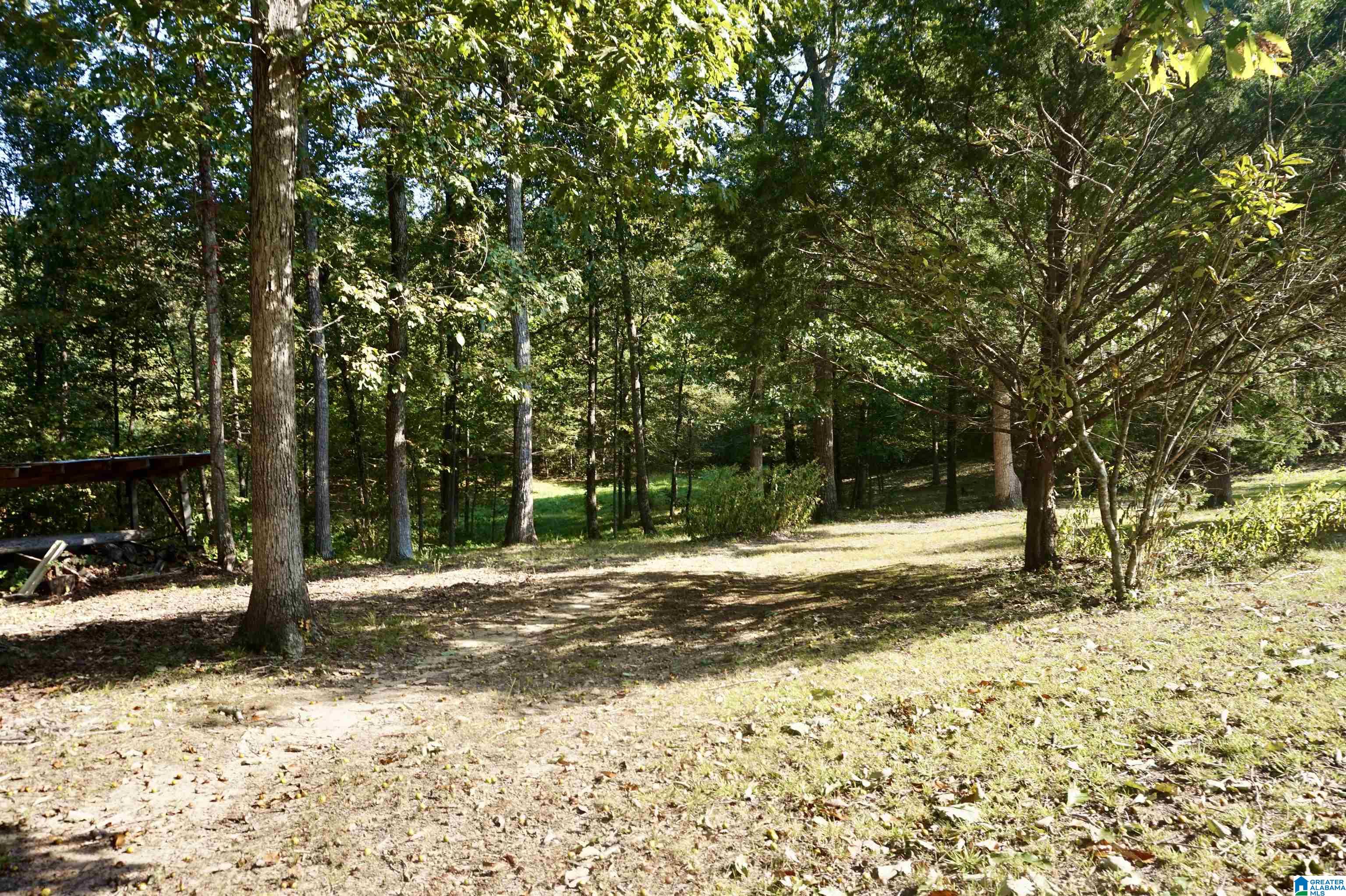 2055 Gum Pond Road Eva, AL 35621 - Photo 50 of 64