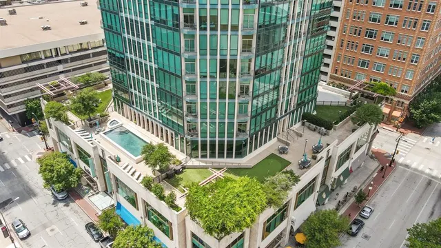 an aerial view of a garden with plants
