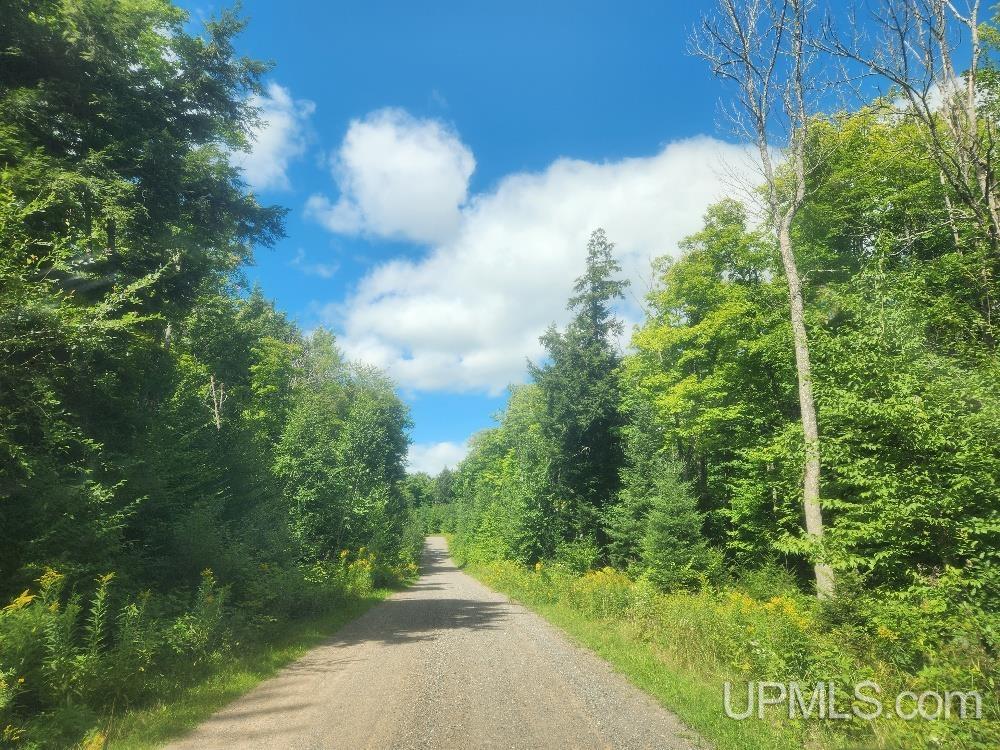 Tbd West Tamarack Lake Road, Unit LOT 5 Watersmeet, MI 49969 - Photo 61 of 66