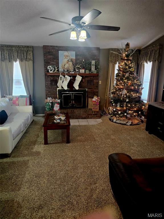 1249 Ripley Rt Bb Fairdealing, MO 63939 - Photo 15 of 58