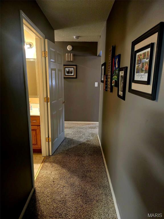 1249 Ripley Rt Bb Fairdealing, MO 63939 - Photo 24 of 58