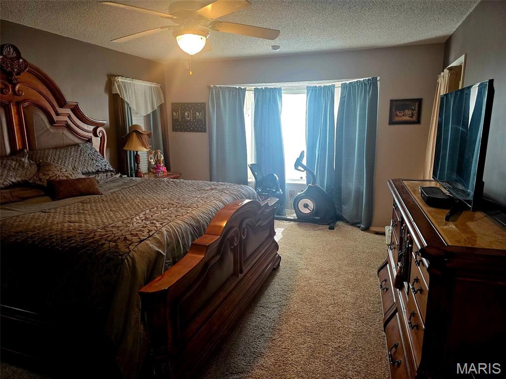 1249 Ripley Rt Bb Fairdealing, MO 63939 - Photo 27 of 58