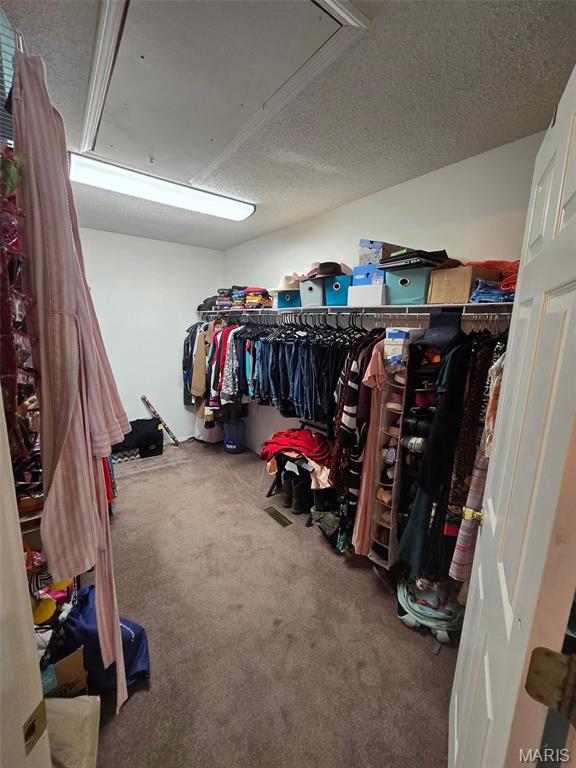 1249 Ripley Rt Bb Fairdealing, MO 63939 - Photo 33 of 58