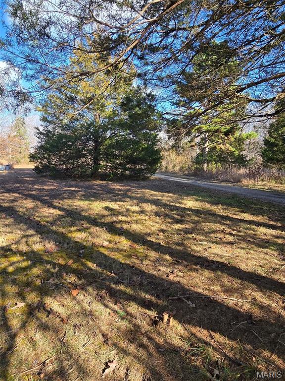 1249 Ripley Rt Bb Fairdealing, MO 63939 - Photo 56 of 58