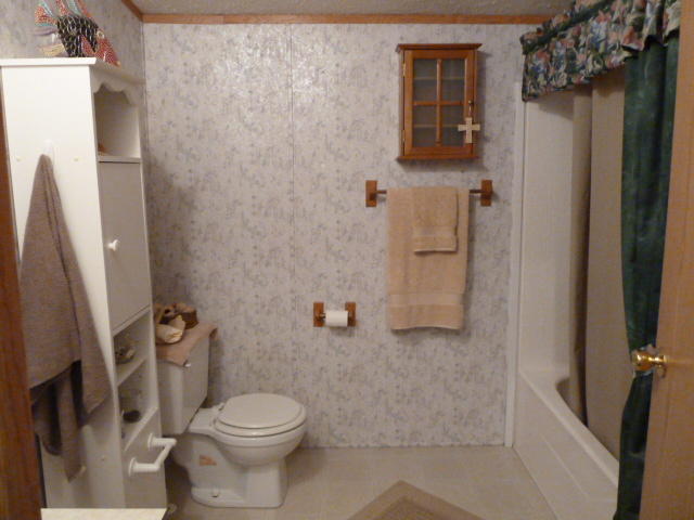 3113 Miller Road Powell, TN 37849 - Photo 16 of 29 P1150215