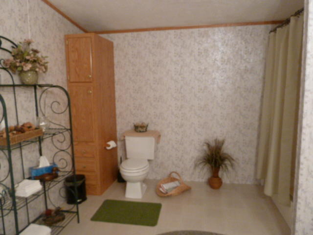 3113 Miller Road Powell, TN 37849 - Photo 21 of 29 P1150222