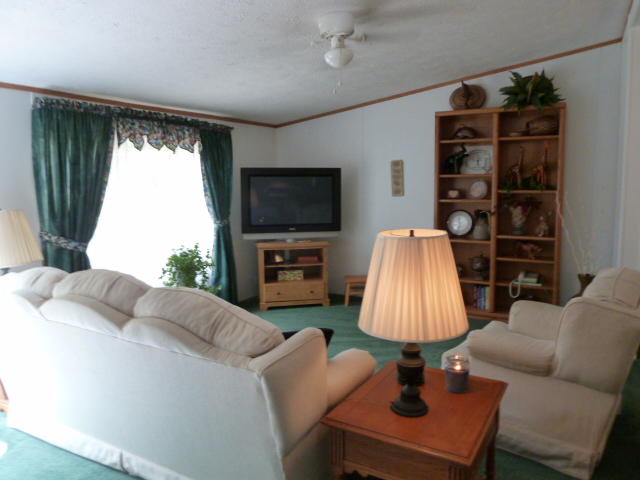 3113 Miller Road Powell, TN 37849 - Photo 5 of 29 P1150226