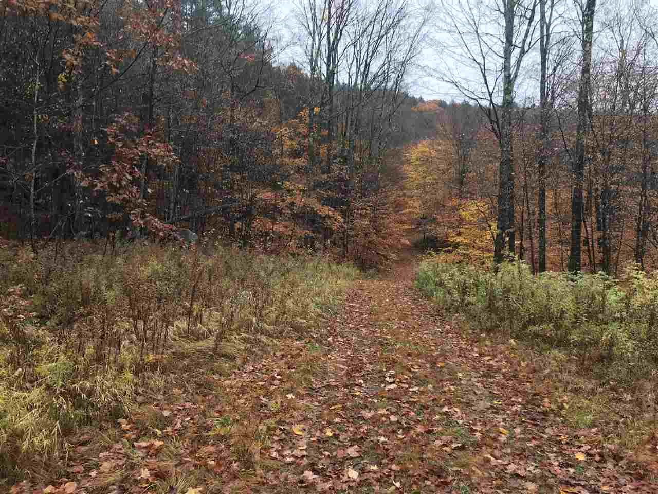 0 Old County Road Chester, VT 05143 - Photo 3 of 12 Gallery Image 3