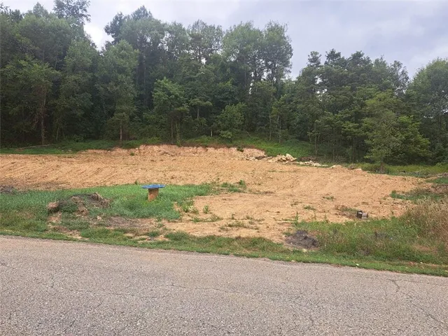 a view of a yard with a yard