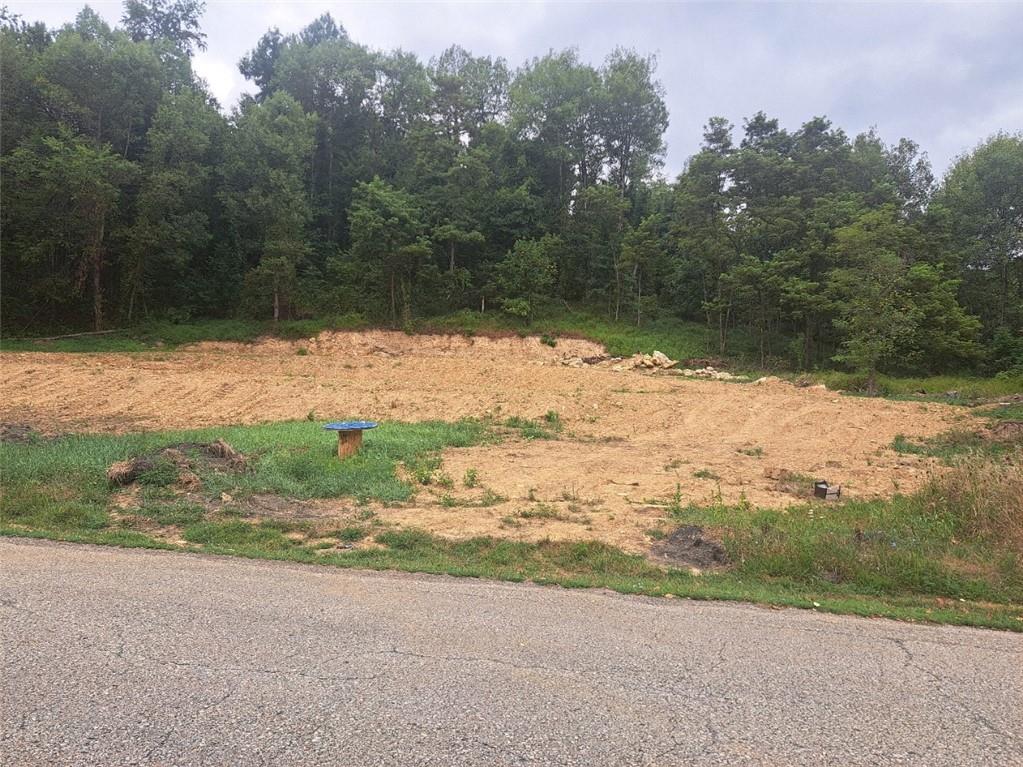 198 Church Street Star Junction, PA 15482 - Photo 3 of 4 a view of a yard with a yard