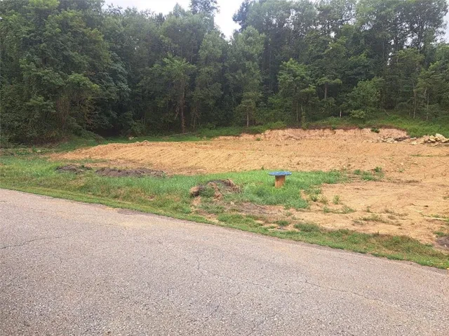 a view of a yard with a tree