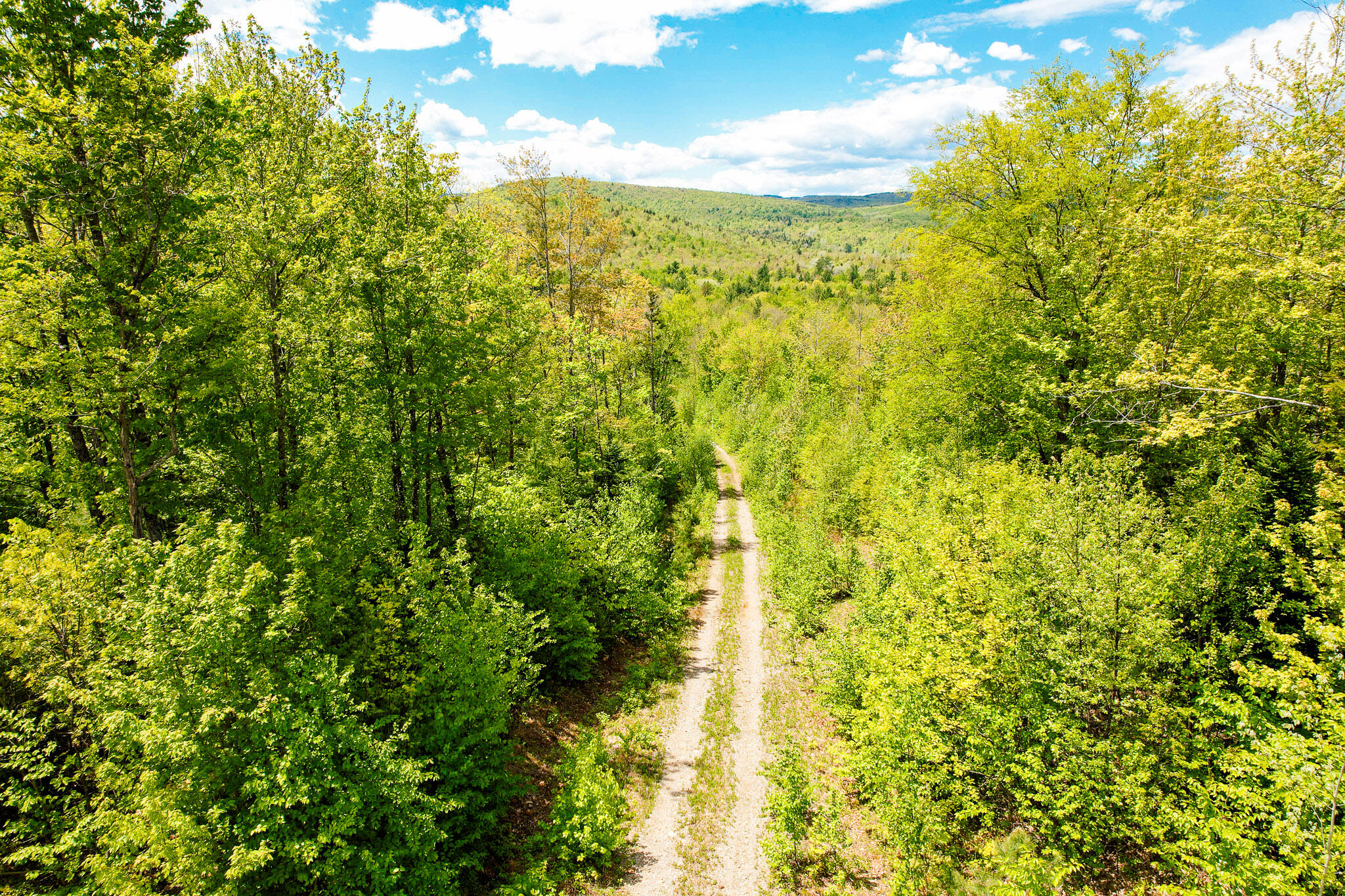 2 Mud Pond Road Madrid Township, ME 04966 - Photo 1 of 42 Madrid Lot