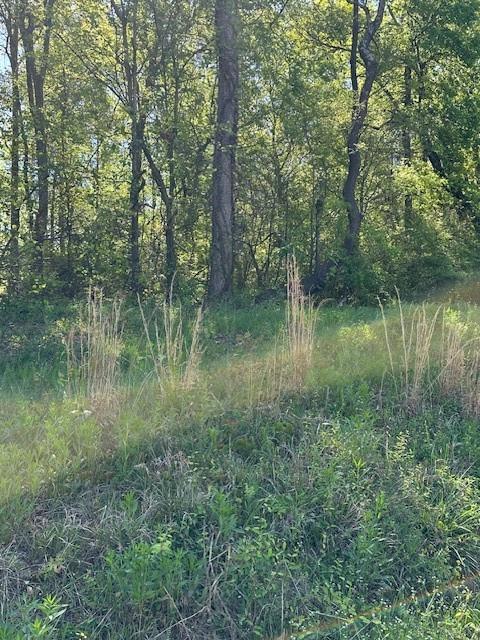 815 A J Irvin Road Talmo, GA 30567 - Photo 5 of 7 a view of a lake with a forest