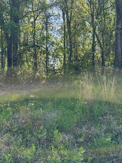 815 A J Irvin Road Talmo, GA 30567 - Photo 6 of 7 a view of a lake with a forest