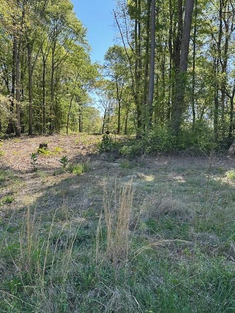 815 A J Irvin Road Talmo, GA 30567 - Photo 7 of 7 a view of backyard with green space