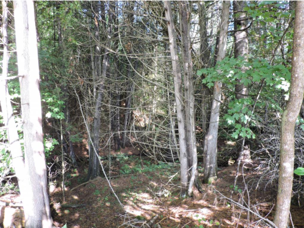 0 Morses Mill Road St. Johnsbury, VT 05819 - Photo 1 of 17 Gallery Image 1