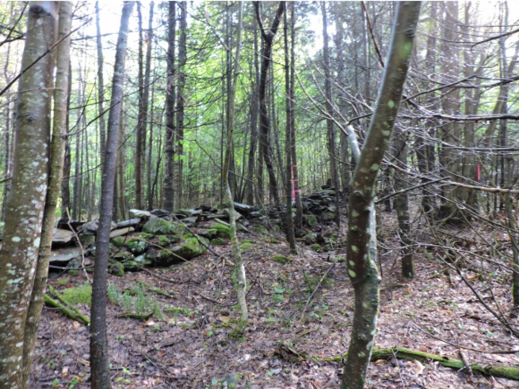 0 Morses Mill Road St. Johnsbury, VT 05819 - Photo 4 of 17 Gallery Image 4