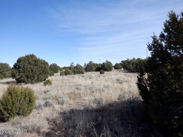 Lot 110 Windsor Valley Ranch Concho, AZ 85924 - Photo 1 of 8