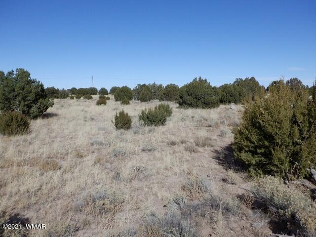 Lot 110 Windsor Valley Ranch Concho, AZ 85924 - Photo 2 of 8