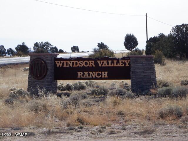 Lot 110 Windsor Valley Ranch Concho, AZ 85924 - Photo 3 of 8