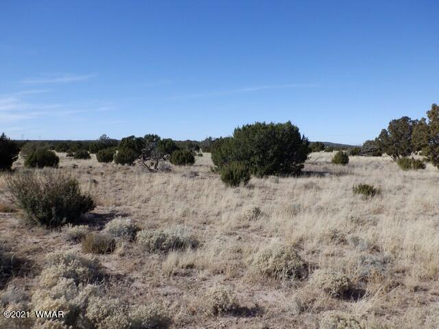 Lot 110 Windsor Valley Ranch Concho, AZ 85924 - Photo 5 of 8