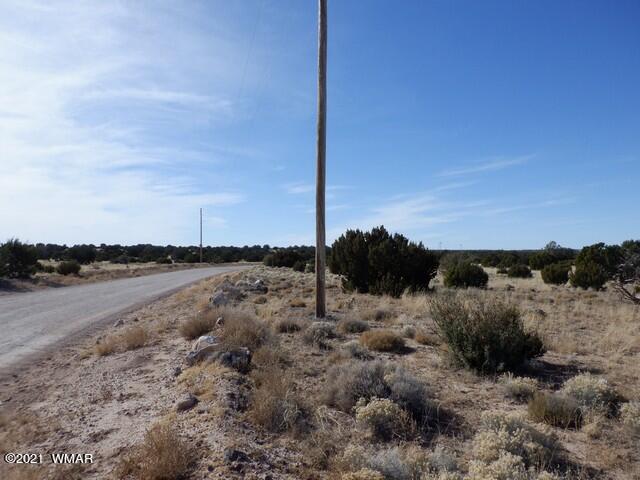 Lot 110 Windsor Valley Ranch Concho, AZ 85924 - Photo 6 of 8