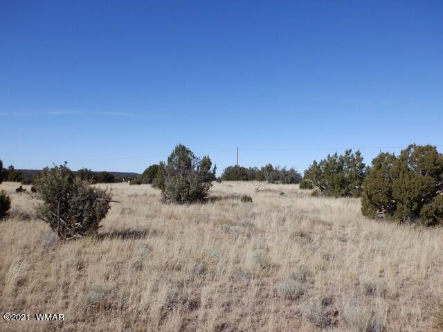 Lot 110 Windsor Valley Ranch Concho, AZ 85924 - Photo 7 of 8