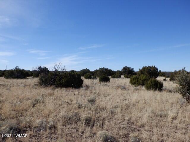 Lot 110 Windsor Valley Ranch Concho, AZ 85924 - Photo 8 of 8