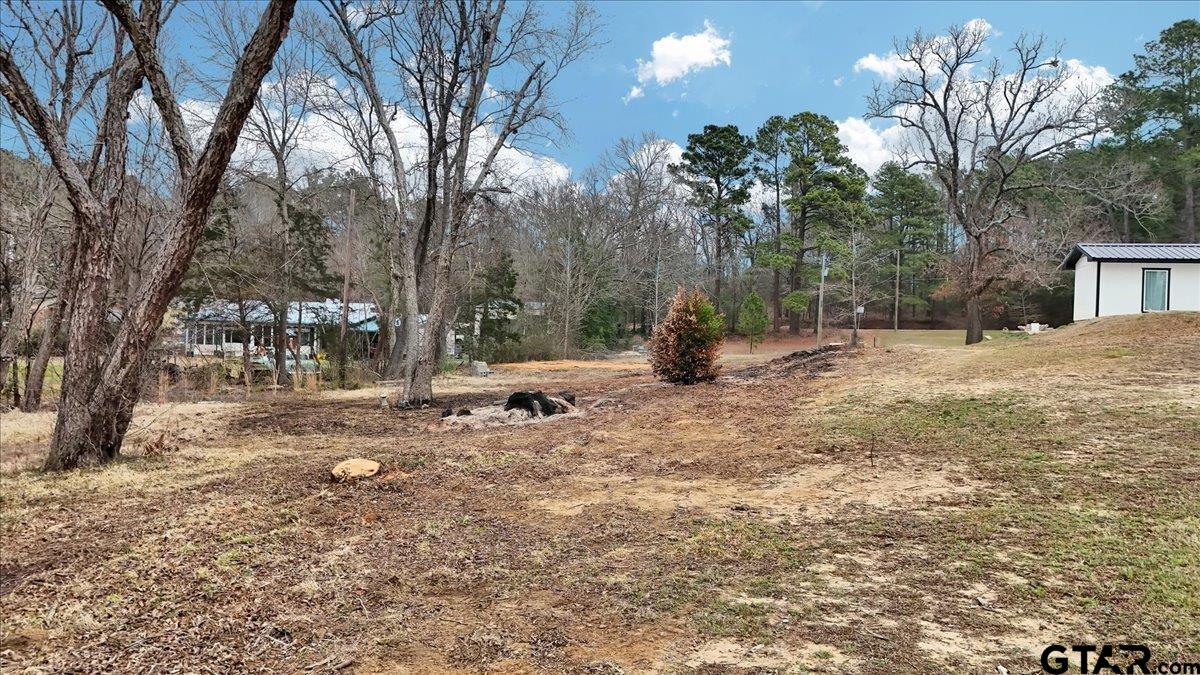 14419 West Peninsula Road Whitehouse, TX 75791 - Photo 11 of 33