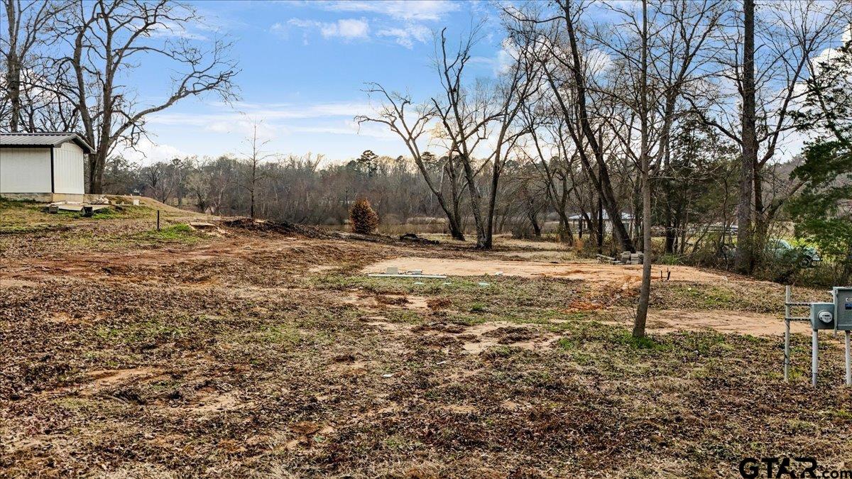 14419 West Peninsula Road Whitehouse, TX 75791 - Photo 12 of 33