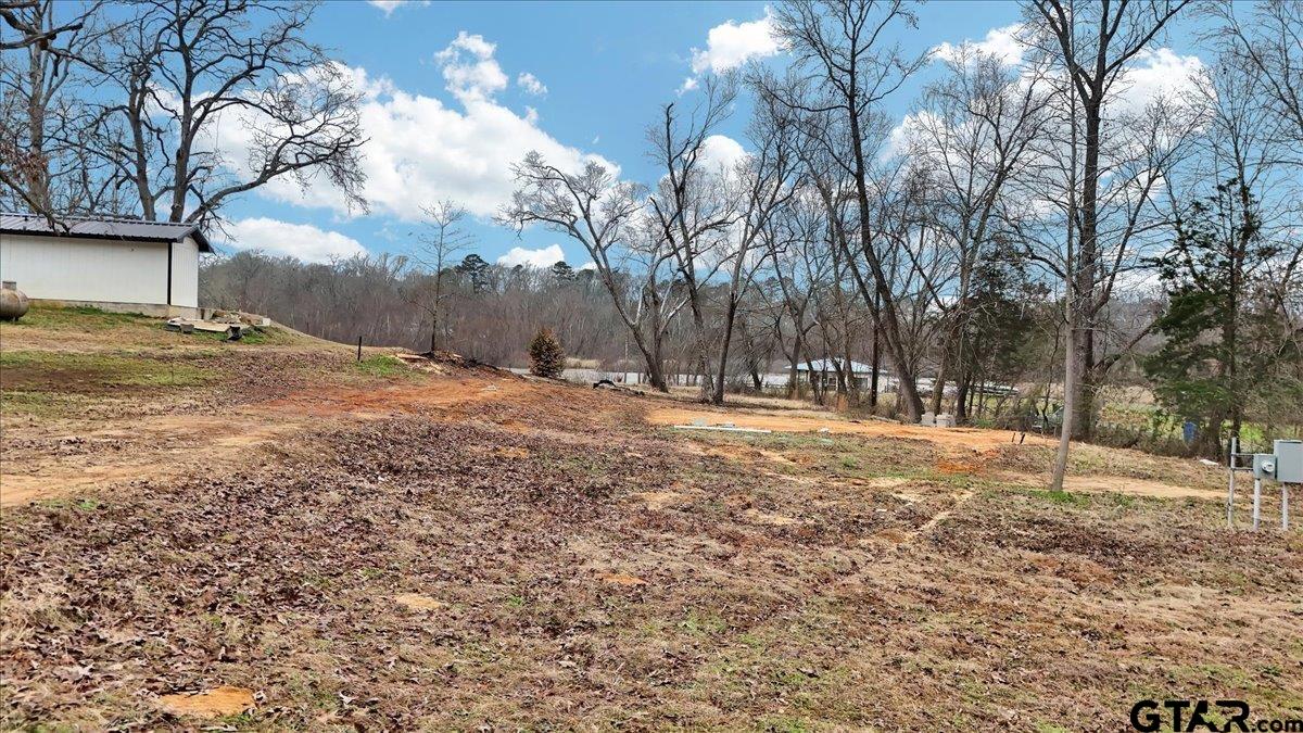 14419 West Peninsula Road Whitehouse, TX 75791 - Photo 15 of 33