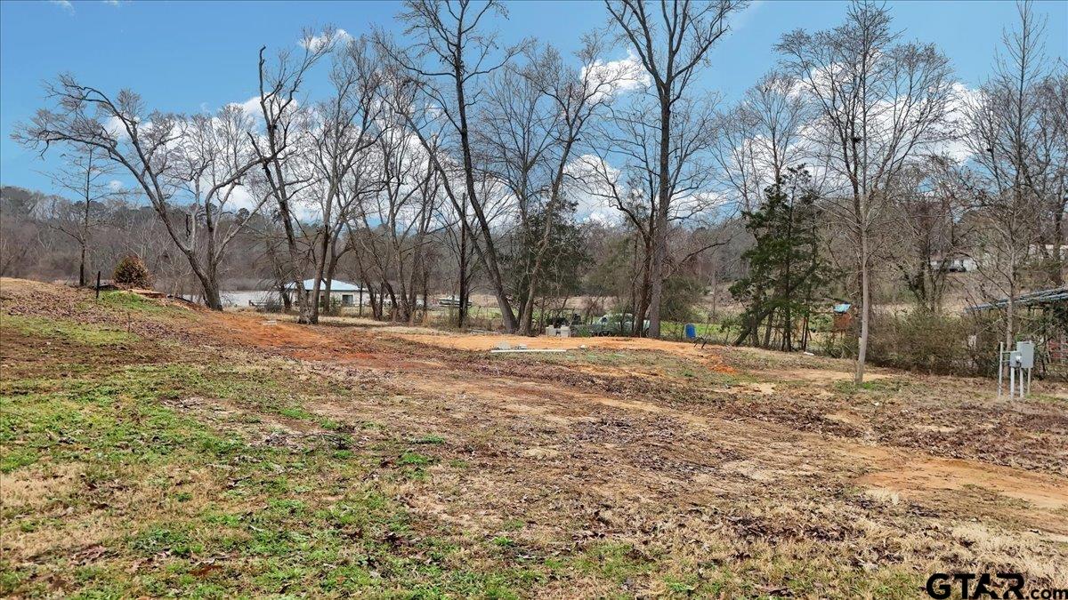 14419 West Peninsula Road Whitehouse, TX 75791 - Photo 17 of 33