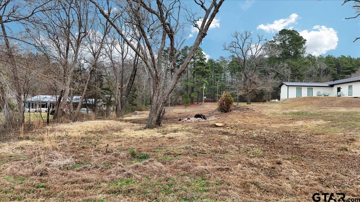 14419 West Peninsula Road Whitehouse, TX 75791 - Photo 3 of 33