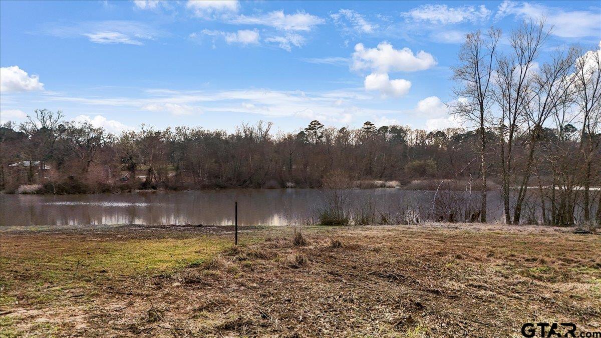 14419 West Peninsula Road Whitehouse, TX 75791 - Photo 4 of 33