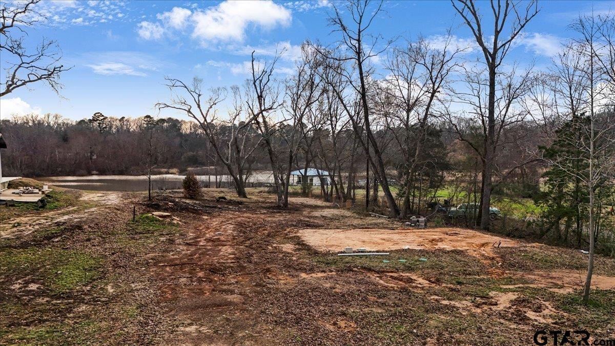 14419 West Peninsula Road Whitehouse, TX 75791 - Photo 6 of 33