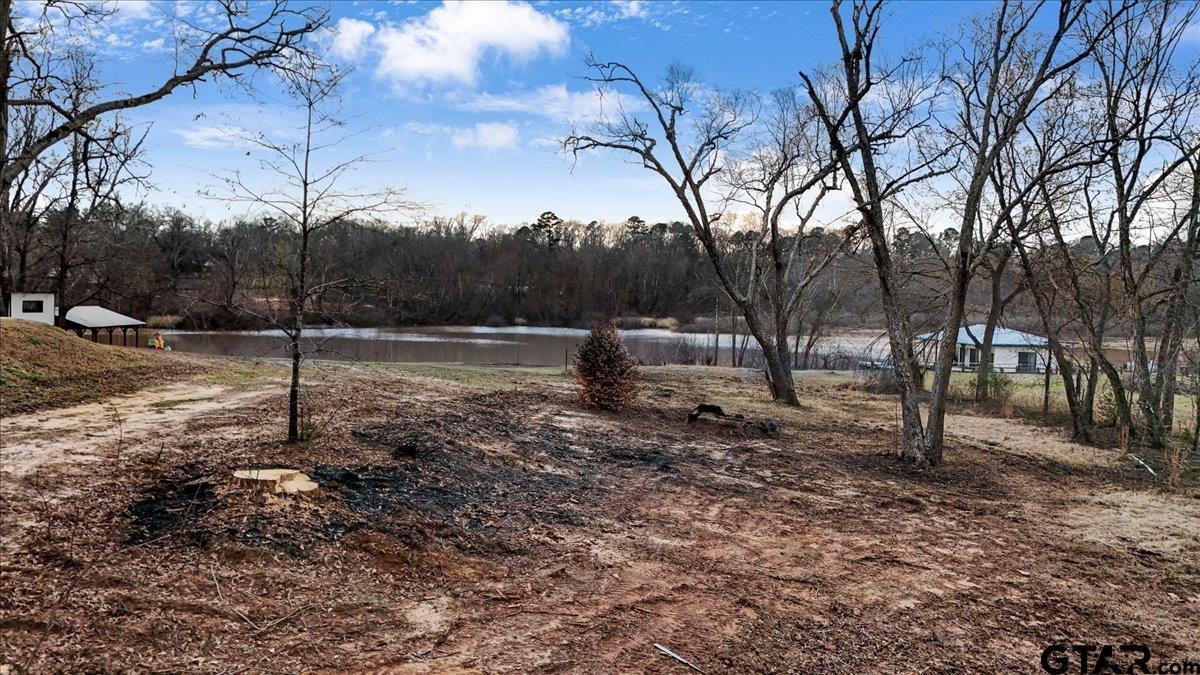 14419 West Peninsula Road Whitehouse, TX 75791 - Photo 7 of 33