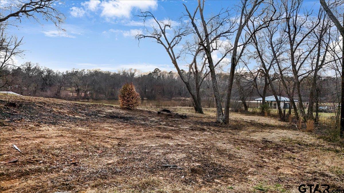 14419 West Peninsula Road Whitehouse, TX 75791 - Photo 9 of 33