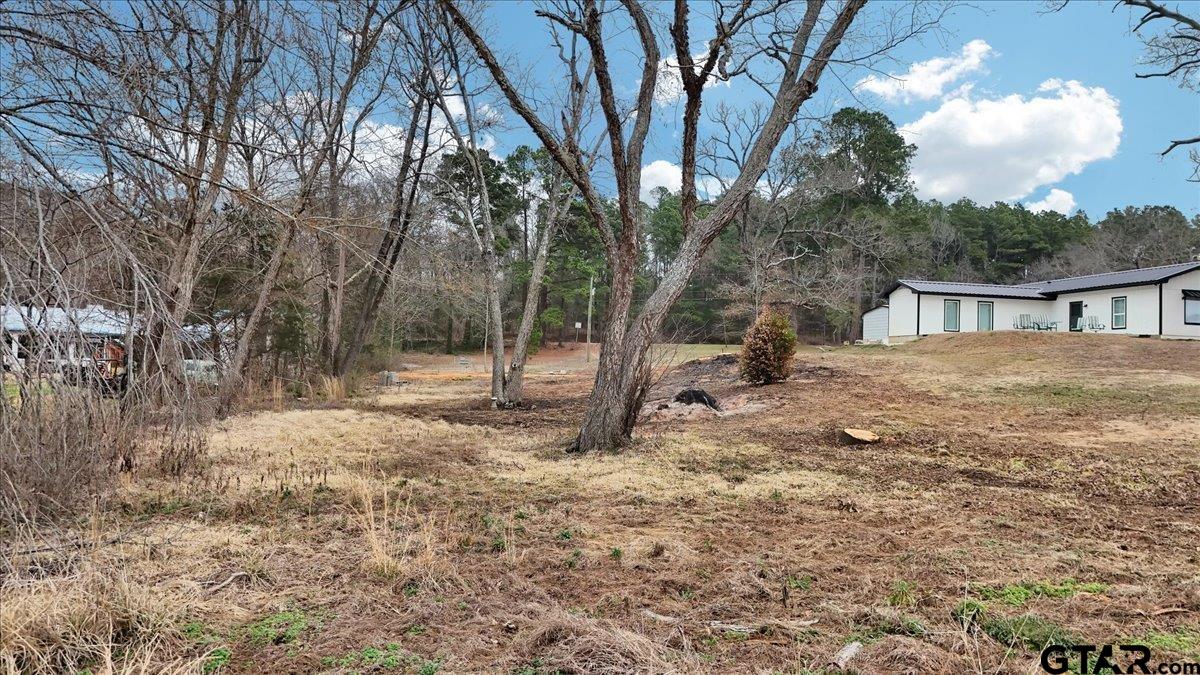 14419 West Peninsula Road Whitehouse, TX 75791 - Photo 10 of 33