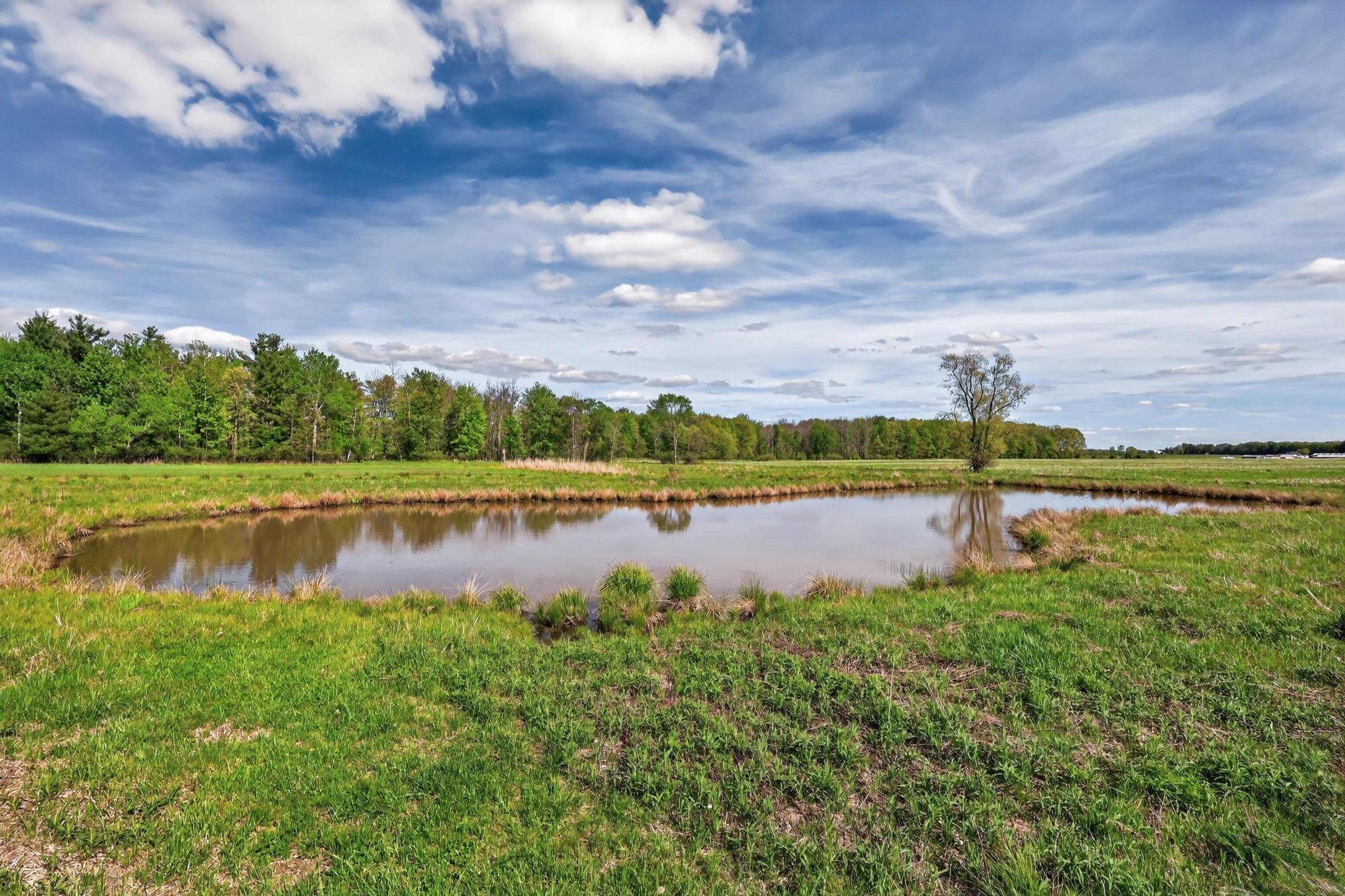 6414 County Road East Pittsville, WI 54466 - Photo 45 of 47
