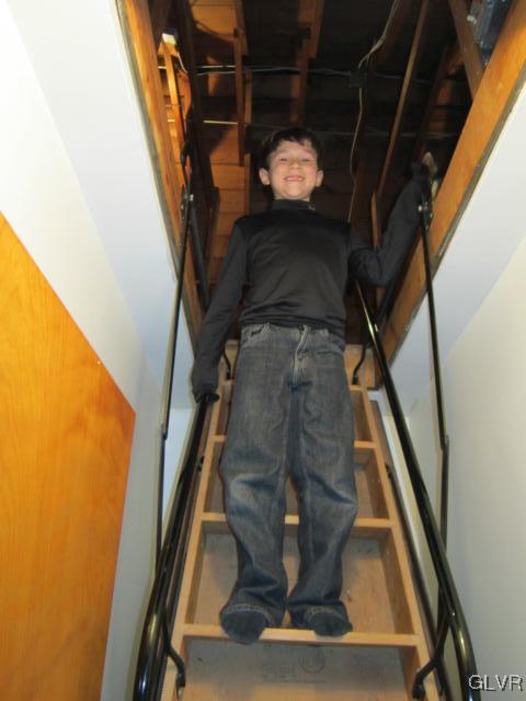 119 Cherry Hill Road Nazareth, PA 18064 - Photo 20 of 25 Steps to attic presented by Chase.