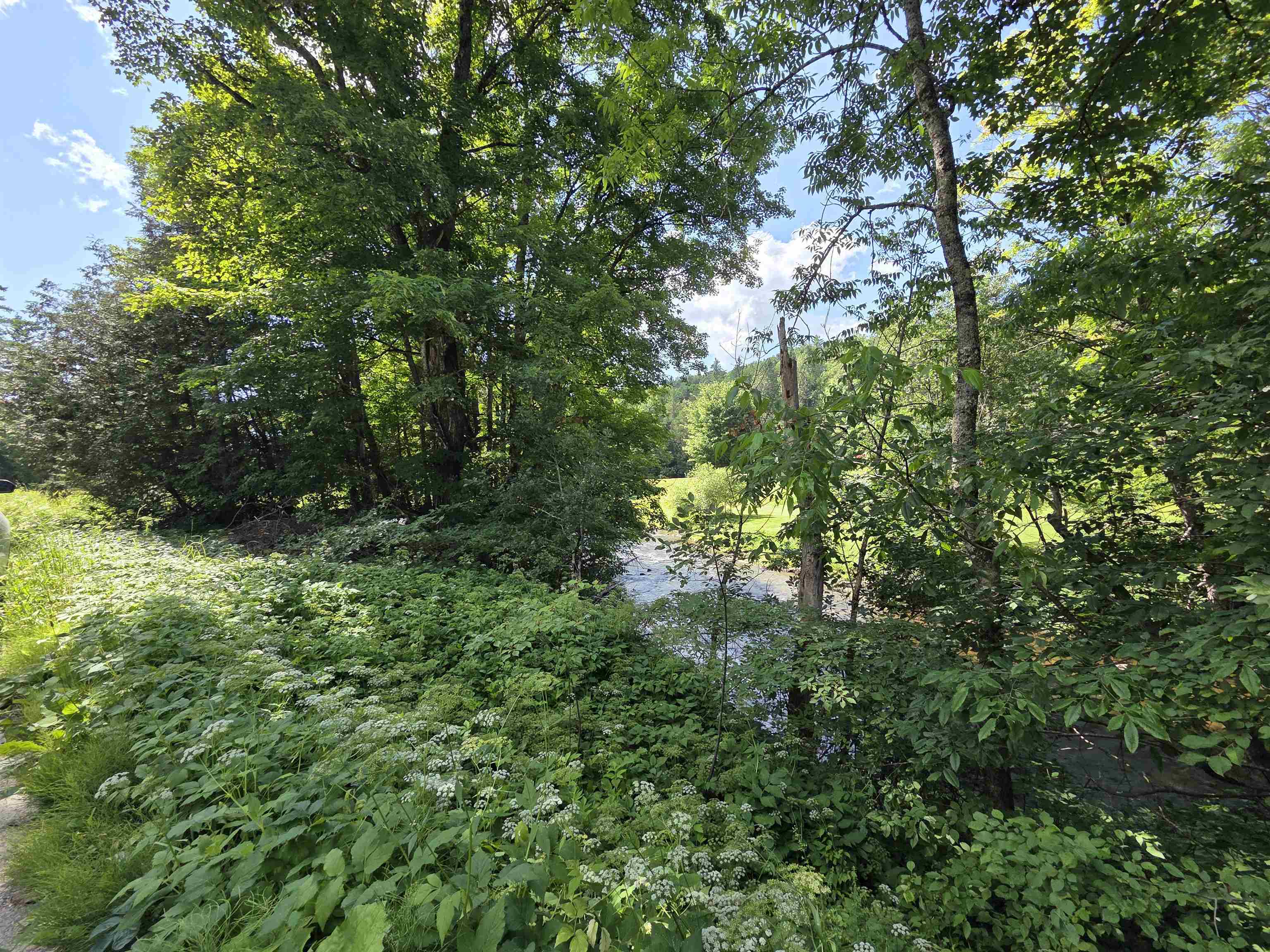 76 Harveys Hollow Road Danville, VT 05828 - Photo 45 of 48