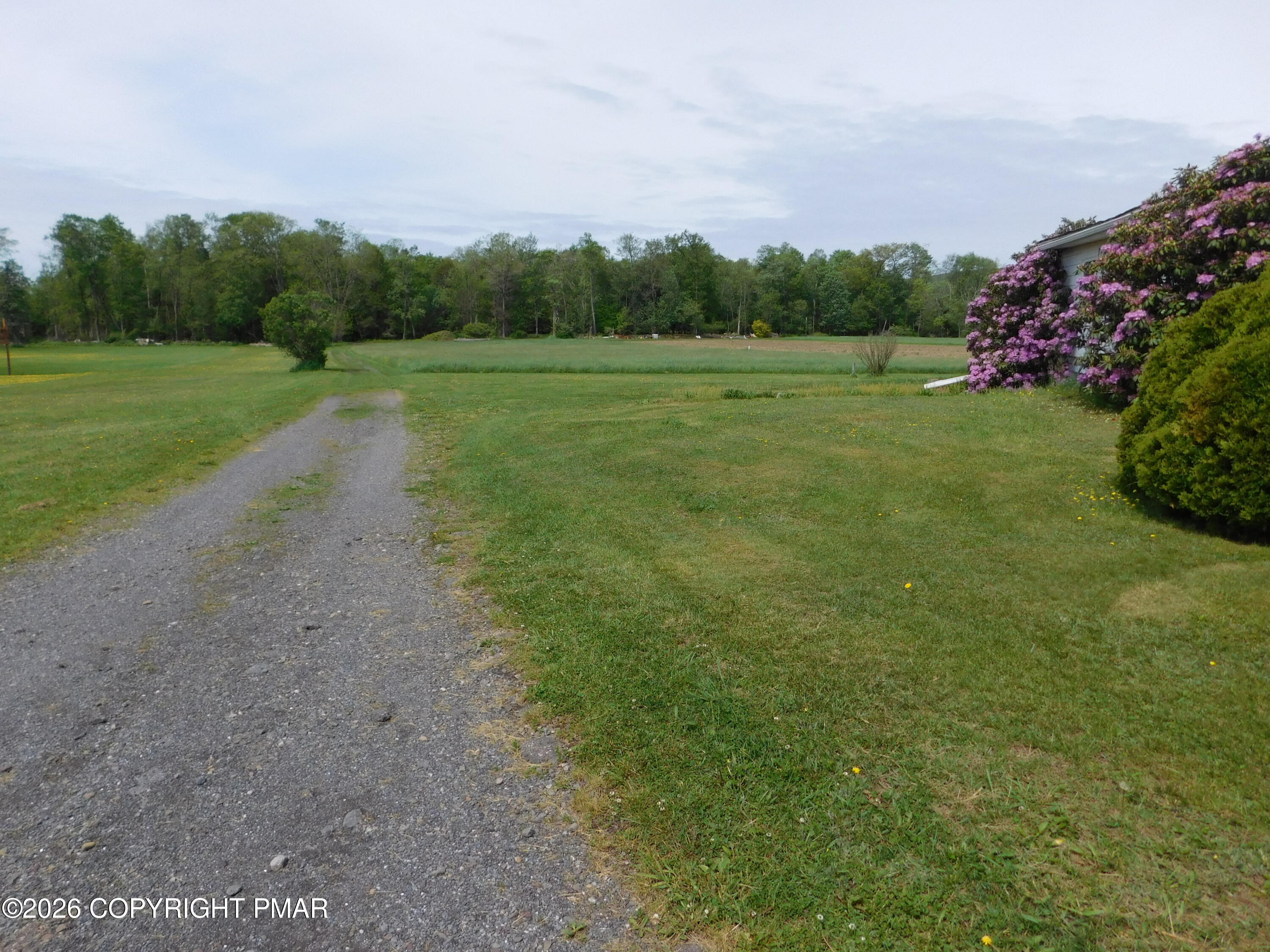 3551 Quakake Road Weatherly, PA 18255 - Photo 3 of 8 a view of a grassy area with an trees