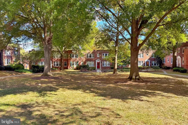 a view of street with trees