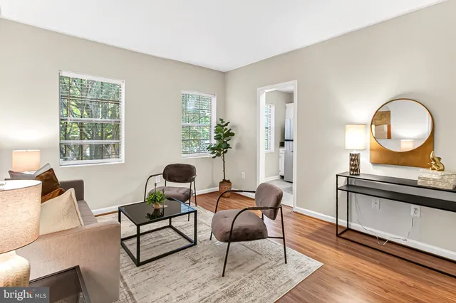 a living room with furniture and a potted plant next to a window