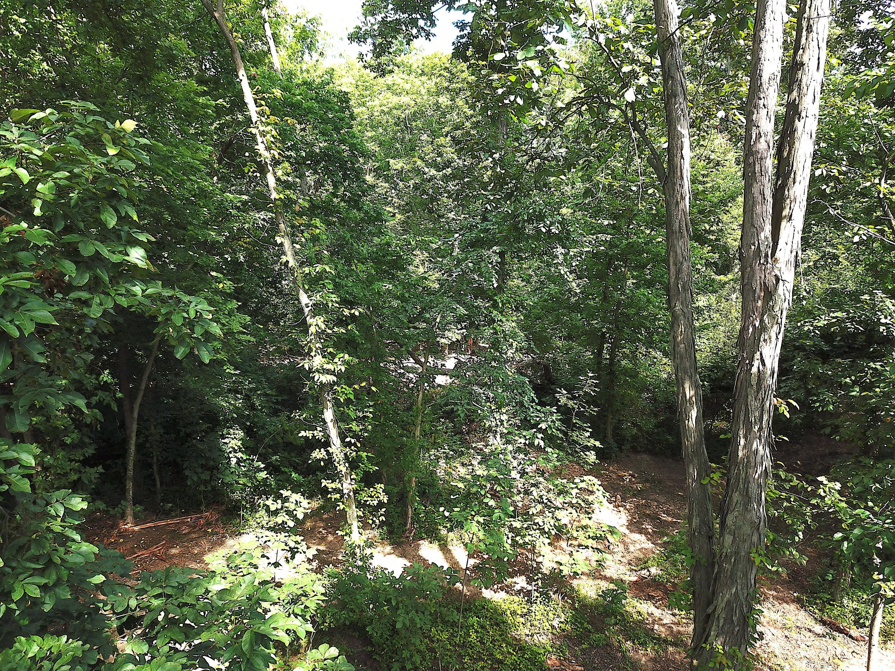 0 North Dean Road Ostrander, OH 43061 - Photo 9 of 38 DJI_0007