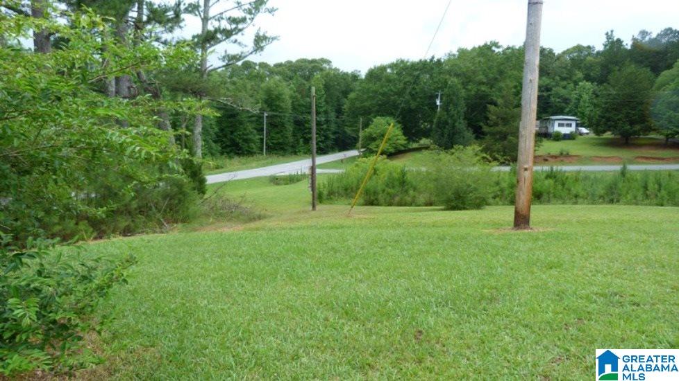 2685 Blakes Ferry Road Lineville, AL 36266 - Photo 6 of 10