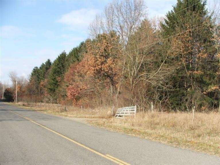 Fairchild Road West Centreville, MI 49032 - Photo 1 of 16 Primary Photo