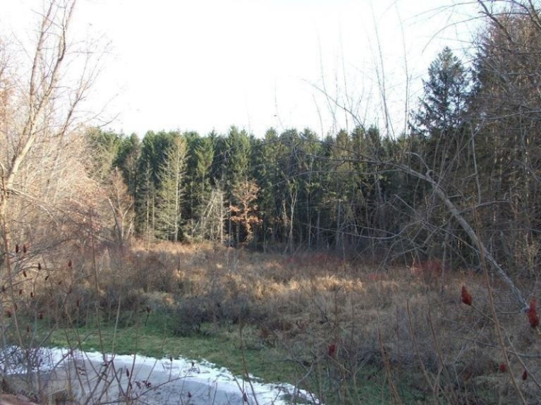 Fairchild Road West Centreville, MI 49032 - Photo 3 of 16 Additional Photo