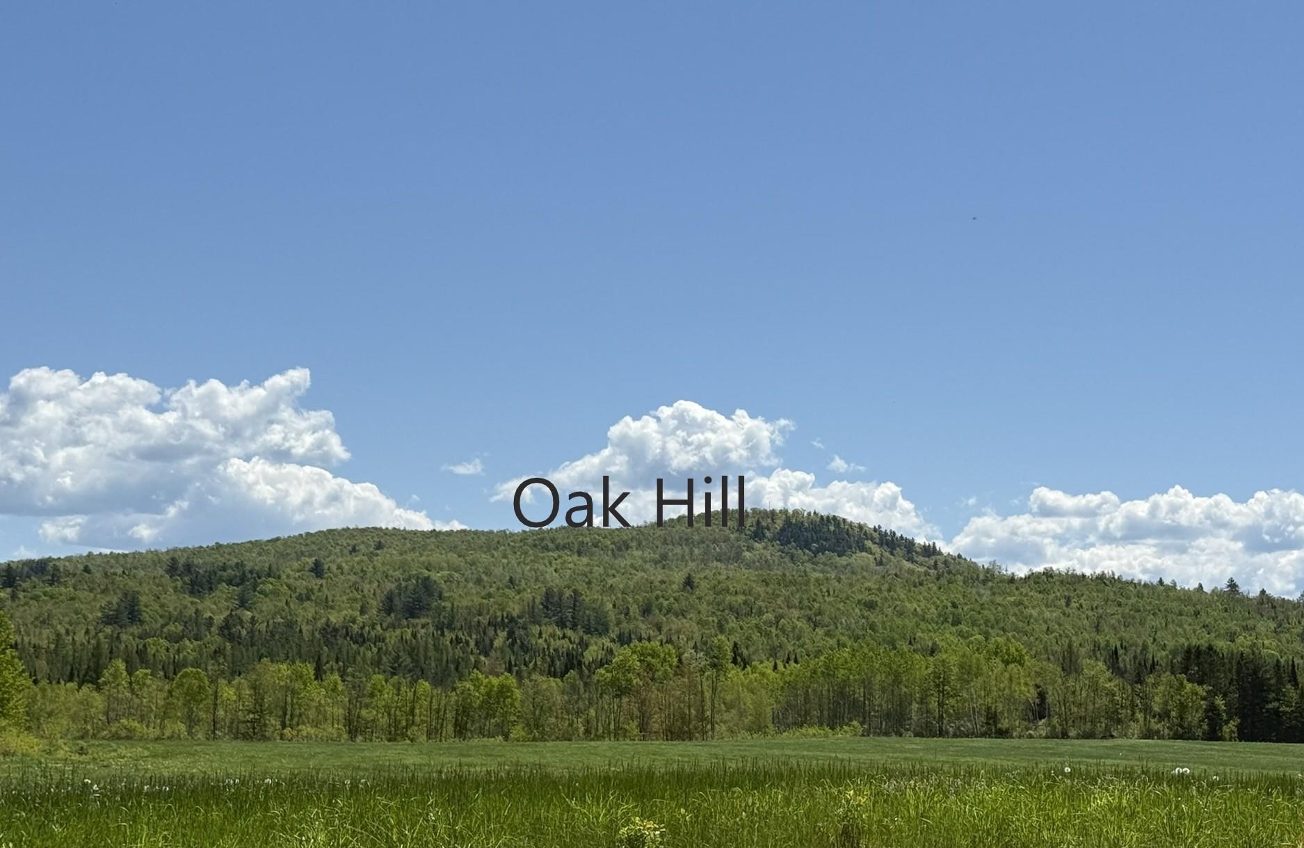 0 Oak Hill Road Milan, NH 03588 - Photo 1 of 2