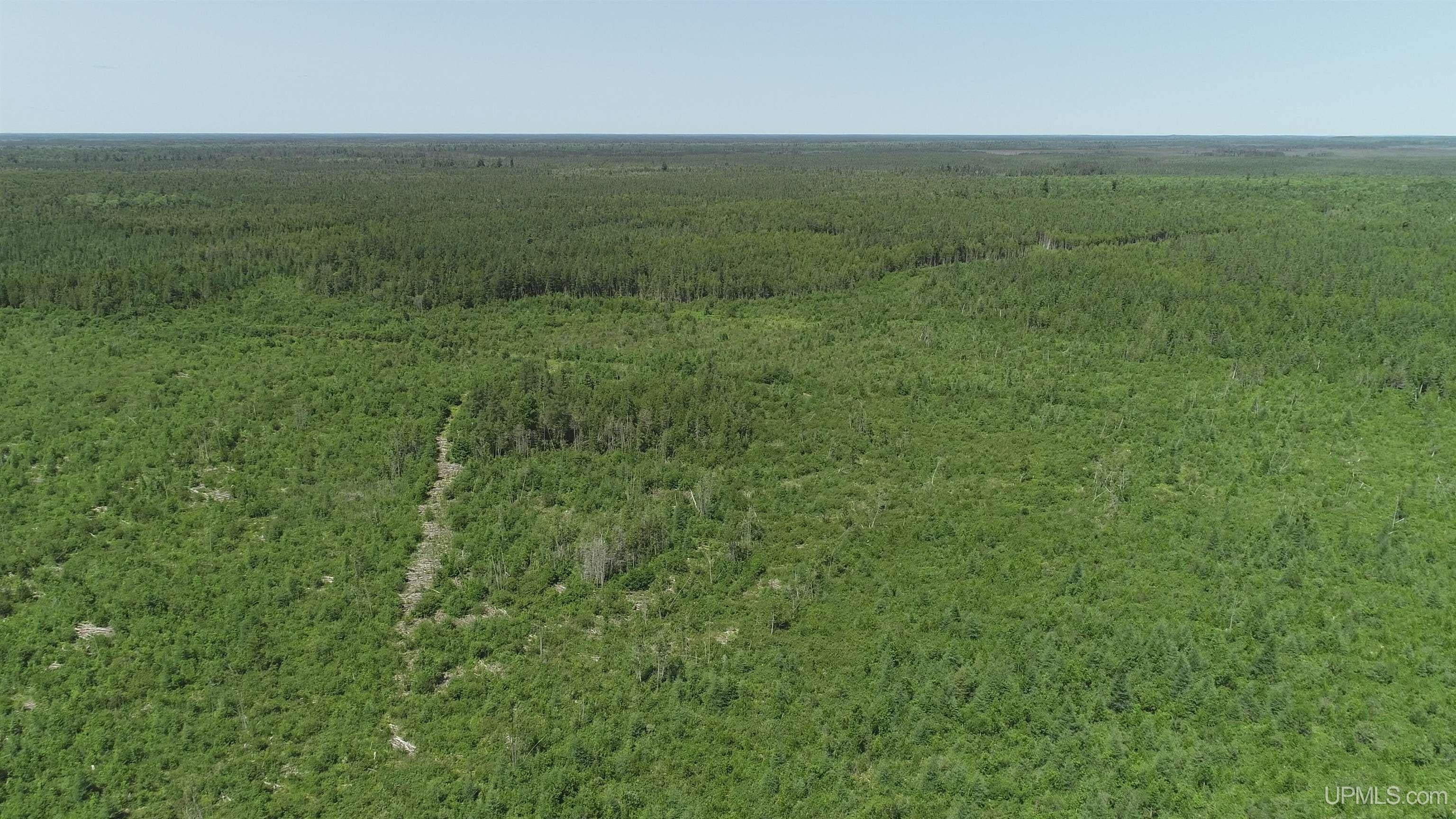 252-acres River Road Gulliver, MI 49840 - Photo 13 of 16 Gallery Image 13